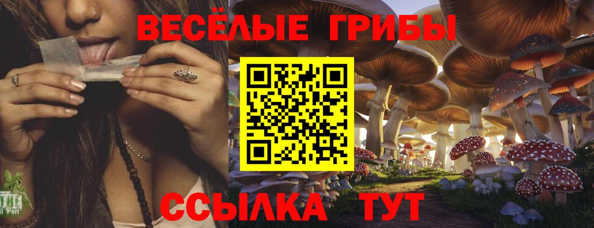 купить наркотики сайты  Галлюциногенные грибы MAGIC MUSHROOMS  Калуга  Вход с VPN  Псилоцибиновые грибы мицелий 